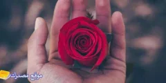 عبارات عن عدم احترام الزوجة لزوجها والزوج لزوجته 2025
