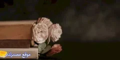 كلام اعتذار لصديقتي والحبيب أجمل كلام عن الاعتذار 2025